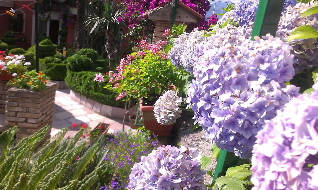 Apartment City Garden Cattaro Camera foto